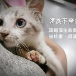 喵星人關懷協會
