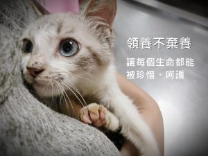 喵星人關懷協會