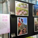 2025萬金杜鵑攝影展6月4日開展 觀展贈樹苗 | 數位公益領導者｜共創社會影響力｜亞太搜尋引擎產業協會