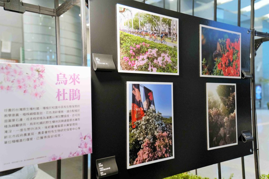 2025萬金杜鵑攝影展6月4日開展 觀展贈樹苗 | 索引新聞 Index News 2025萬金杜鵑攝影展6月4日開展 觀展贈樹苗 | 索引新聞 Index News