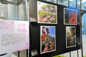 2025萬金杜鵑攝影展6月4日開展 觀展贈樹苗 | 數位公益領導者｜共創社會影響力｜亞太搜尋引擎產業協會