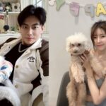 「戲劇女神」韓雨潔、猛男「唐子元」化身公益最前線!攜手鹿希派、寧寧、星野優力挺浪愛集食南下救災 | 數位公益領導者|共創社會影響力|亞太搜尋引擎產業協會