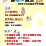 喵星人守護關懷協會・板橋喵屋推動流浪貓救援與送養：把「幫貓也幫人」變成日常行動