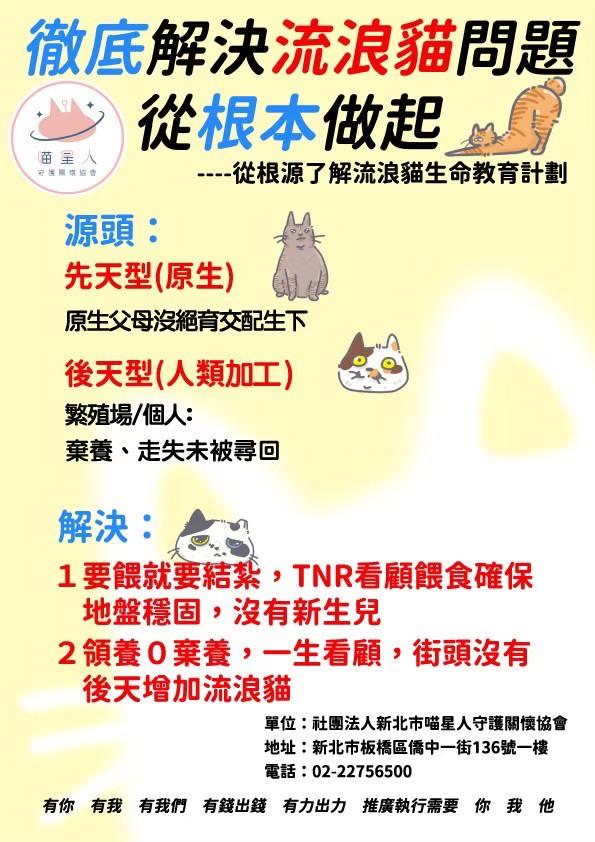喵星人守護關懷協會・板橋喵屋推動流浪貓救援與送養：把「幫貓也幫人」變成日常行動