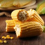 泰國自2026年1月起要求進口飼料玉米須具「禁燒」來源證明，以降低農業燃燒造成的PM2.5風險。圖／翻攝自《民族報》（The Nation Thailand）