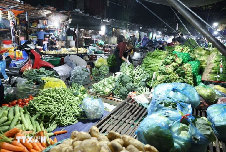 越南河內春節後市場復市，物價供需大致平衡，官方續監控。（圖截自：越通社 VietnamPlus