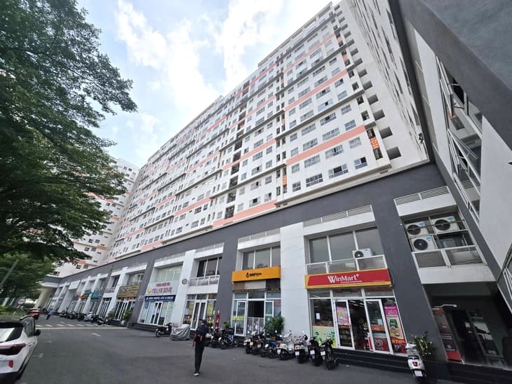 圖 / Tuổi Trẻ Online